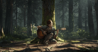 The last of us coming to pc